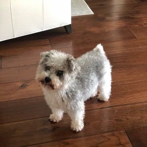 Meet your Posher, Robin